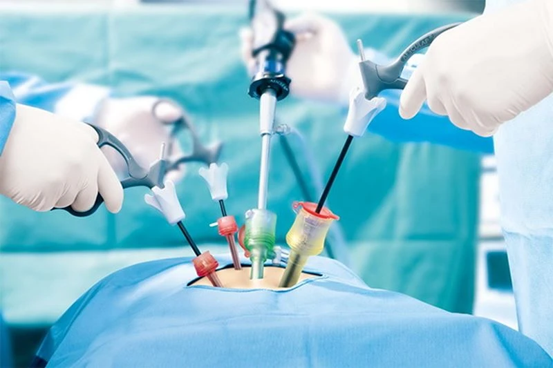 Maryland Dissector